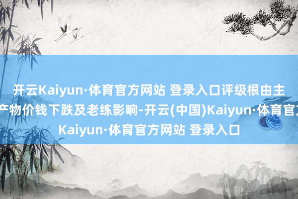 开云Kaiyun·体育官方网站 登录入口评级根由主要包括:1)受产物价钱下跌及老练影响-开云(中国)Kaiyun·体育官方网站 登录入口