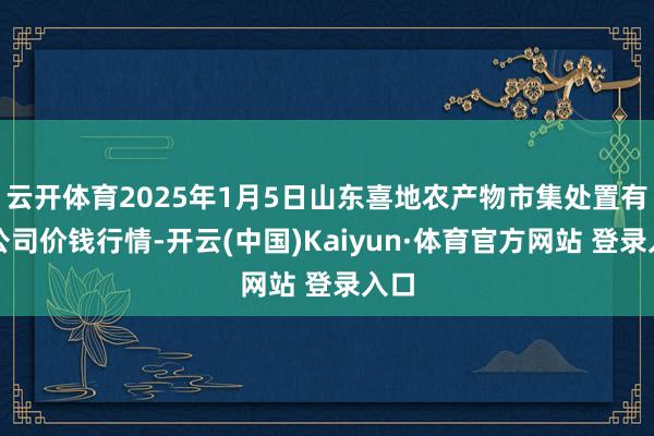 云开体育2025年1月5日山东喜地农产物市集处置有限公司价钱行情-开云(中国)Kaiyun·体育官方网站 登录入口