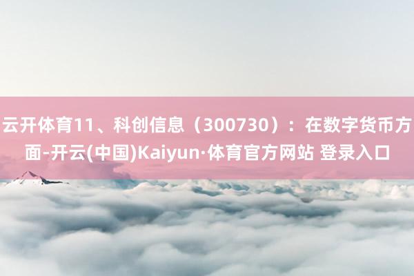 云开体育11、科创信息（300730）：在数字货币方面-开云(中国)Kaiyun·体育官方网站 登录入口