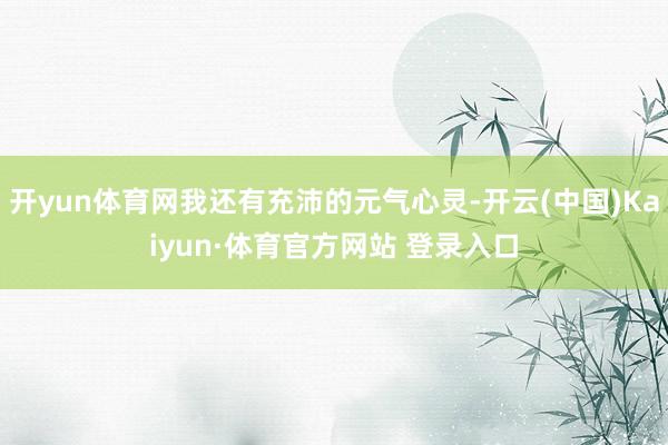 开yun体育网我还有充沛的元气心灵-开云(中国)Kaiyun·体育官方网站 登录入口