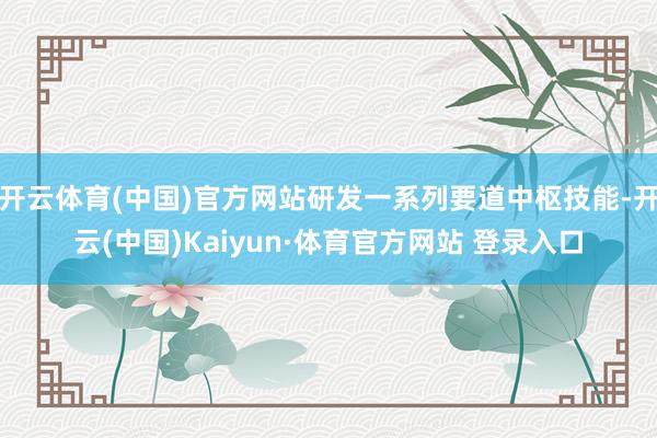 开云体育(中国)官方网站研发一系列要道中枢技能-开云(中国)Kaiyun·体育官方网站 登录入口